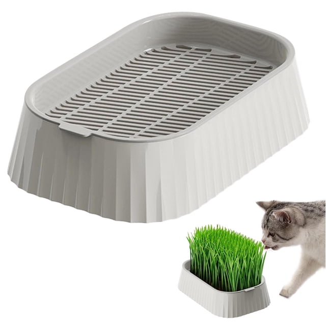 Gray Double Layer Grass Grower Tray Soilless Planting Kit Wheatgrass Nursery Box Pets Home Gardening Planter In Gray Color