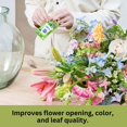 thumbnail image 4 of Chrysal Aliment Universel Transparent pour Fleurs - 200 Sachets, 4 of 6