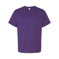 thumbnail image 1 of Hanes Athlétique Violet 10 4TG, 1 of 1