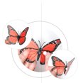thumbnail image 4 of YAOMOBB Aimant Antidérapant pour Réfrigérateur Ensemble d'Aimants Réalistes 3D pour Décoration de Réfrigérateur (10 Pcs), 4 of 7
