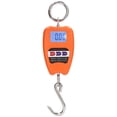thumbnail image 1 of Balance Numérique Suspendue, Capacité de Charge 200kg Mesure Précise Balance de Poids Suspendue, 1 of 8