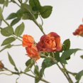 thumbnail image 3 of TopLLC Artificial Flowers, Fake Flowers Artificial Flowers Long Small Roses Modern Living Room Decorations Table Flowers Flower Arrangements Artificial Flower Bouquets Fake Roses, 3 of 3