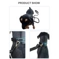 thumbnail image 3 of Labymos Dog Leash Dog Training Leash with Comfortable Padded Handle for Small Medium Large Dogs, 3 of 8