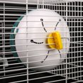 thumbnail image 4 of Plastique Animaux de Compagnie Course Roue Clip-on Lisse Rotation Rat Formation Silencieux Jogging Spinner Exercice Équipement Dortoir Animaux Sports Accessoires Rose, 4 of 6