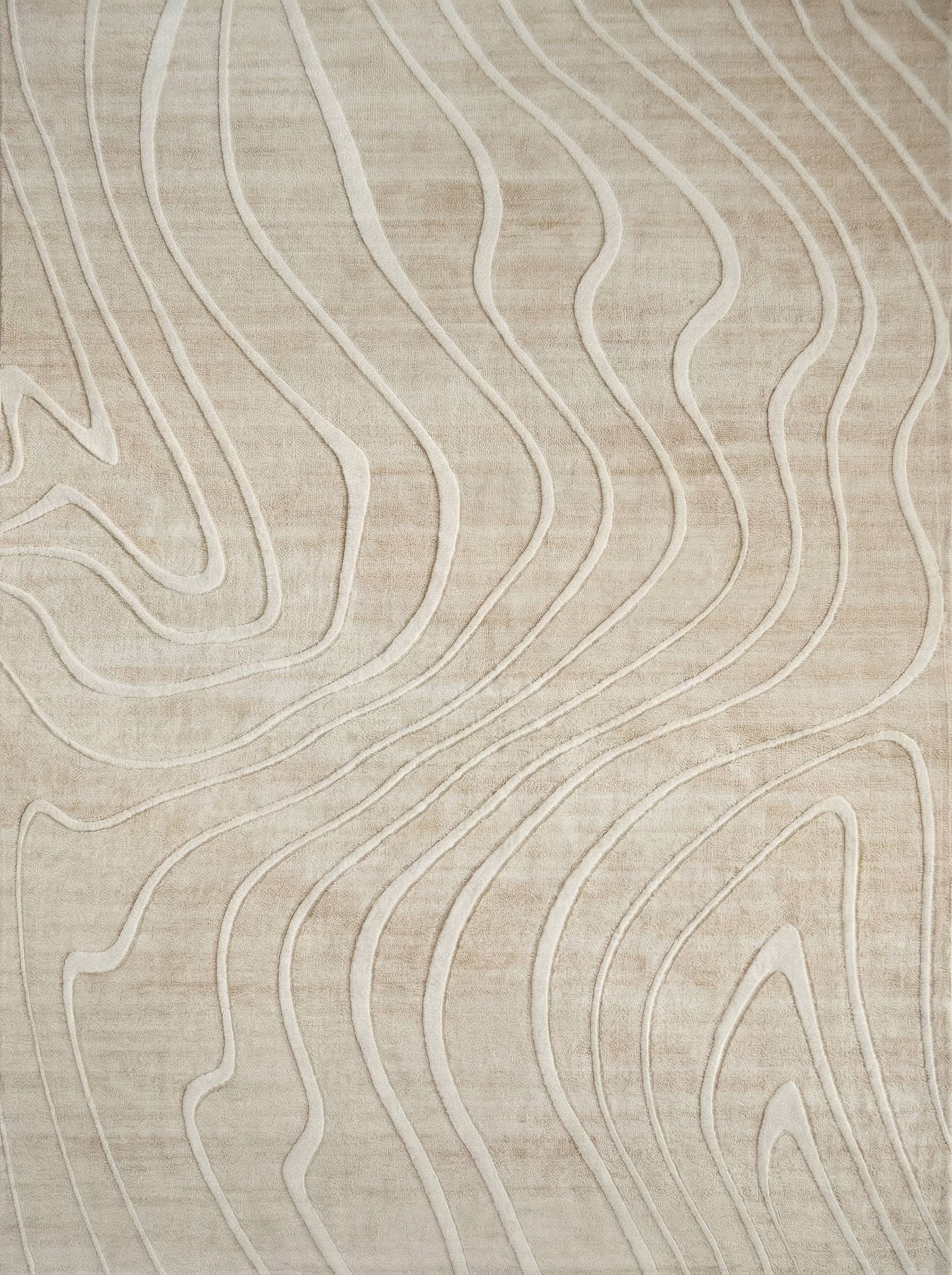 Minimalist Modern Abstract Indoor Area Rug