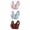 Brun, variante sur Soutiens-gorge pour Femmes, 3 Pcs Soutien-Gorge pour Femmes Sans Armature en Dentelle Fine Uni Rehausseur Ajustable, Soutien-Gorge Quotidien