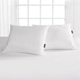 thumbnail image 5 of Sertapedic DreamLoft 2pk Pillow, 5 of 5