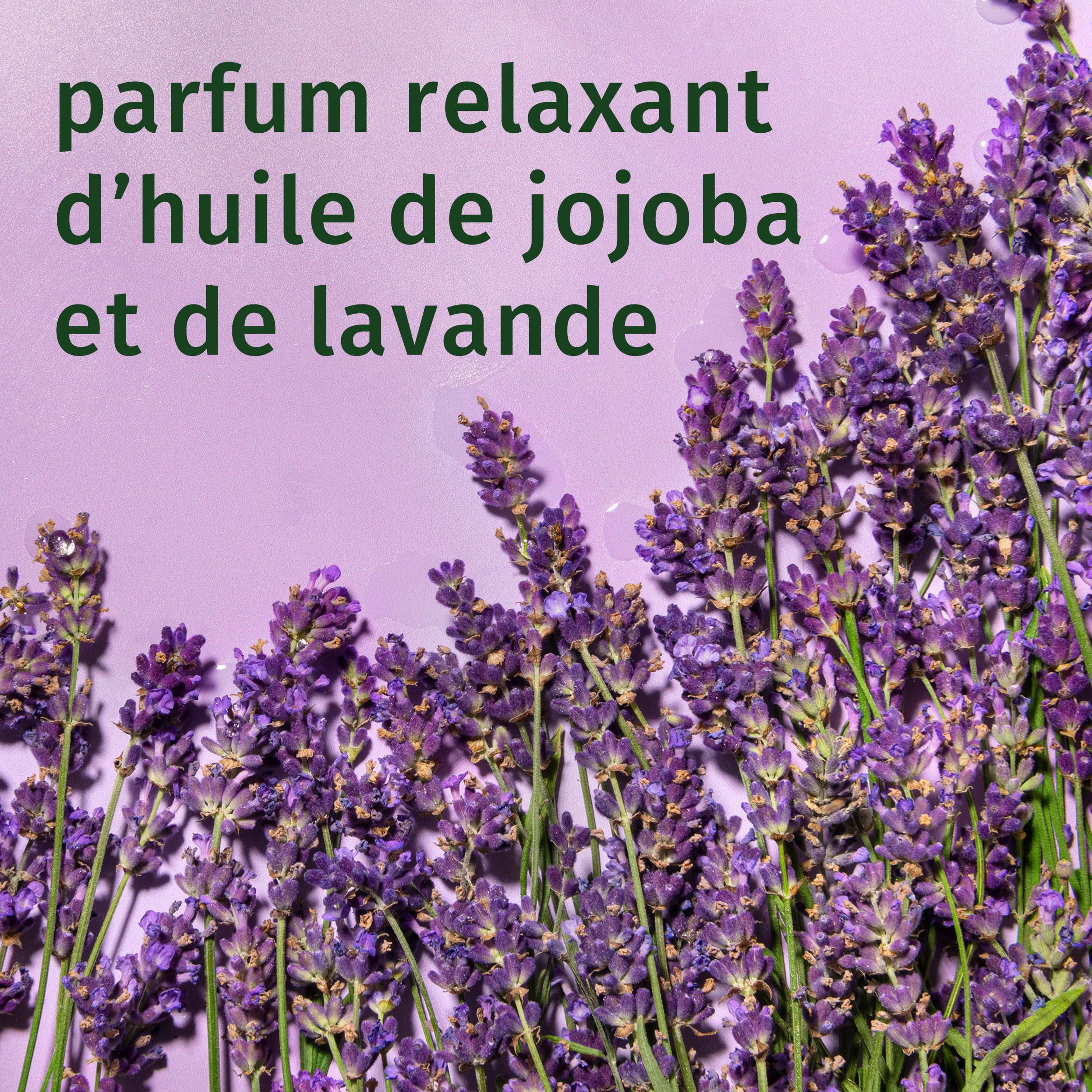 HERBAL ESSENCES Boucles JOJOBA et Lavande Shampooing
