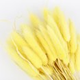 thumbnail image 1 of CAROOTU 50 Pcs Dried Flower Grass Decoration Photography Props for Home Store Wedding, 1 of 5