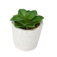 thumbnail image 5 of Anko Artificial Succulent #1 in Pot, 5 of 5