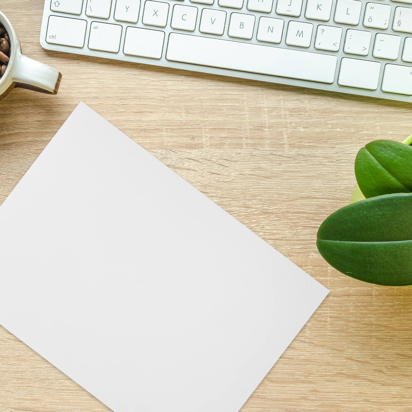 CHICHUMID White Printer Sticker Paper for Clear Sharp Prints and Secure Adhesion