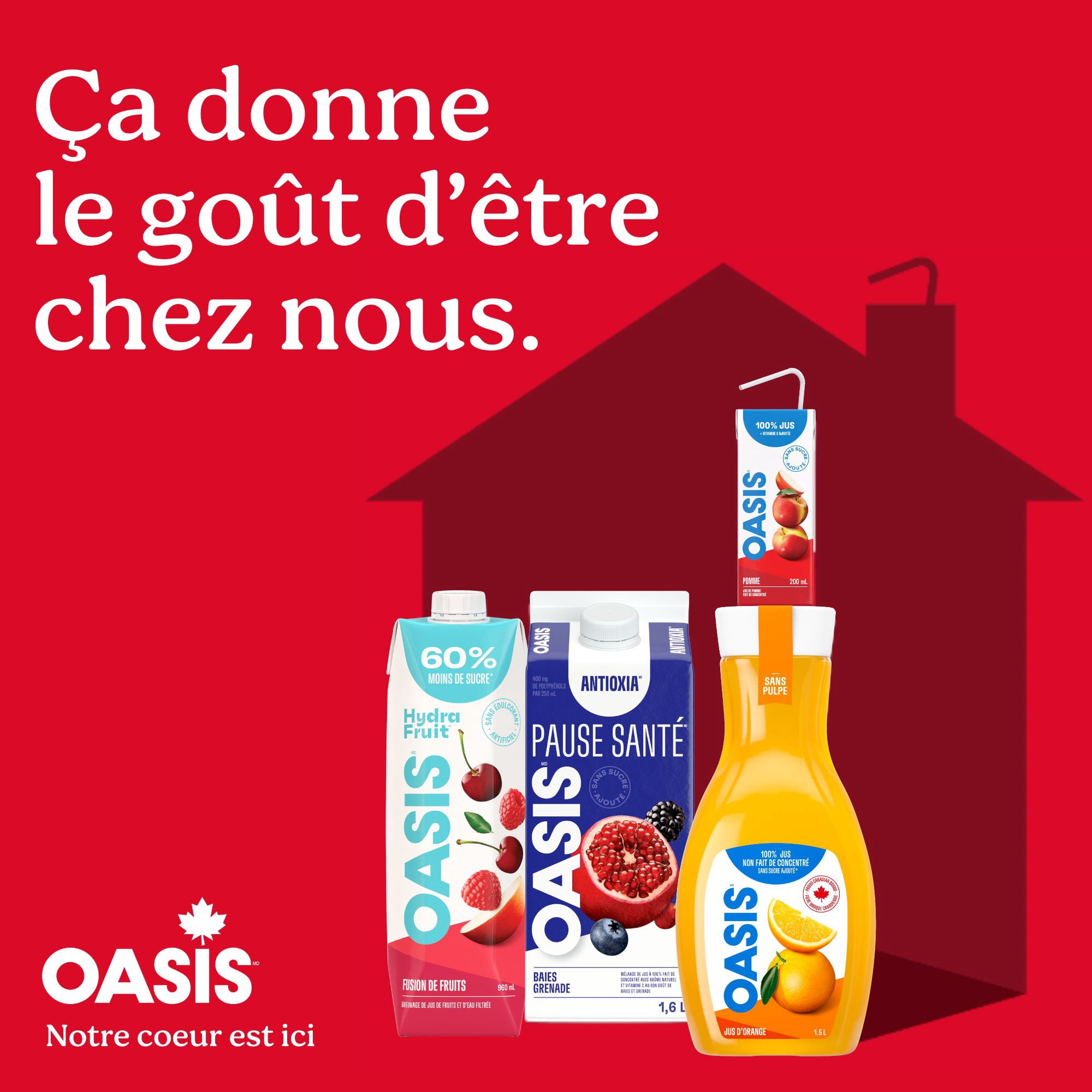 Oasis Jus de Fruits Mangue Exotique 960 ml