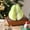 B, variant on RKSTN Christmas Sticky Notes Christmas Gifts Apples Stickys Notes DIY Stickys Notes Kitchen Stickys Notes Christmas Gifts