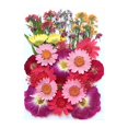thumbnail image 1 of EGNMCR Fake Flowers, Artificial Flowers Dried And Embossed Flowers For Resin Kit Candles And Crafts Embossing material, 1 of 1