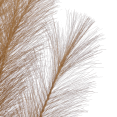 thumbnail image 2 of Bouclair Beige Faux Stem, 2 of 2
