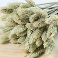 thumbnail image 3 of Coofit Dry Flower Branch DIY 24PCS Simple Natural Dried Grass Stem Dry Grass Decor, 3 of 8