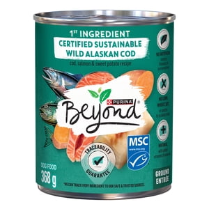 Beyond Alaskan Cod, Salmon & Sweet Potato Recipe, Wet Dog Food 368 g