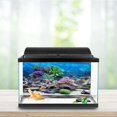 thumbnail image 2 of Noref Fish Tank Decoration Poster, Fish Tank Background Paper,PVC Adhesive Underwater Coral Aquarium Fish Tank Background Poster Backdrop Decoration Paper, 2 of 8