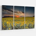 thumbnail image 1 of Designart - Sunflower Sunset with Cloudy Sky - Large Landscape Canvas Art, 1 of 4