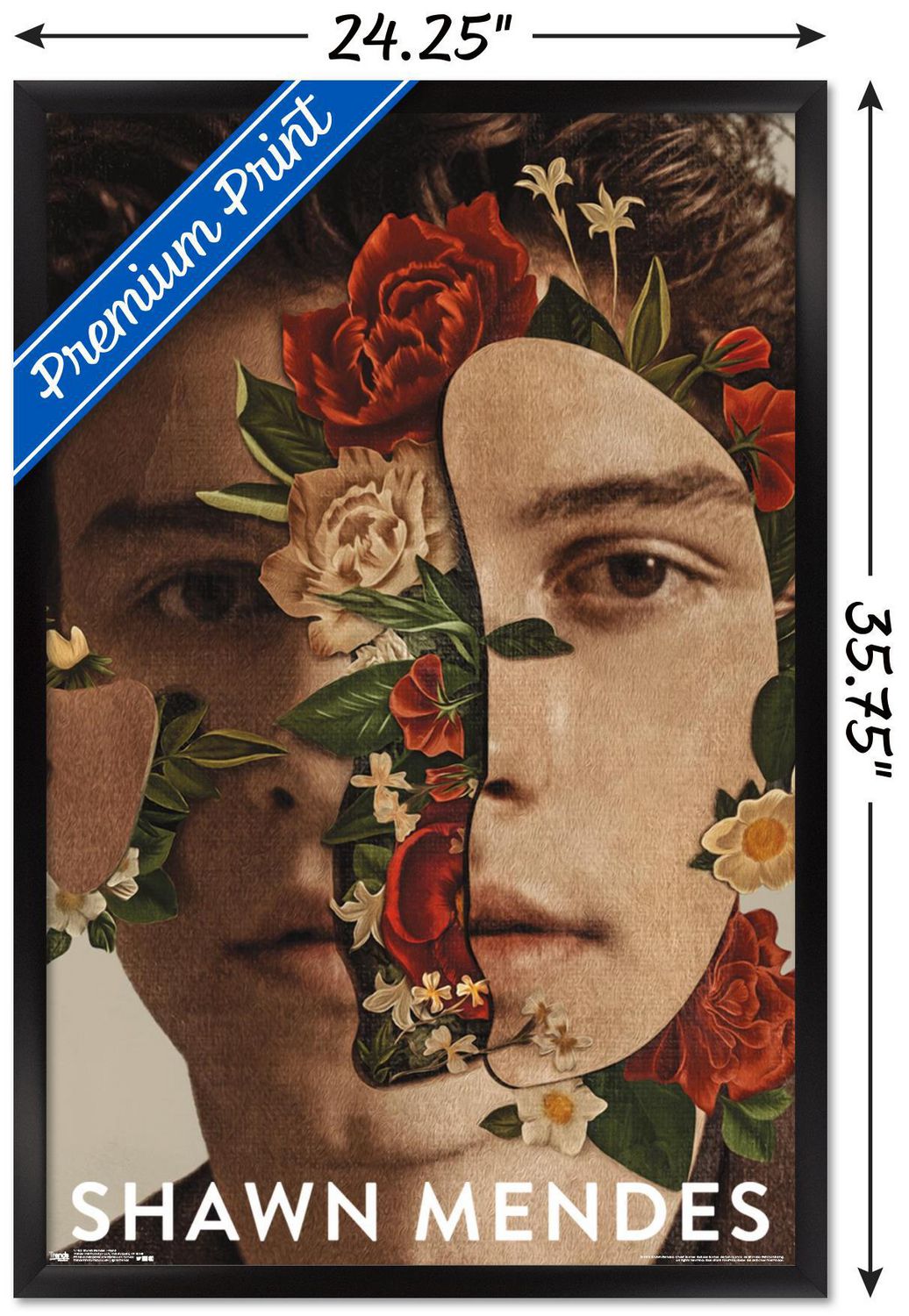Shawn Mendes - Floral Wall Poster, 22.375" x 34"