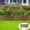 D, variant on Plastic Garden Fence Border Edging with Ground Studs for Flower Bed Lawn Decoration