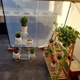 thumbnail image 3 of Bords pour Jardin Bâche en Poly Transparent Imperméable Antigel Coupe-Vent Protection des Plantes, 3 of 5