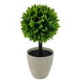 thumbnail image 1 of Mainstays 9.5" Indoor Artificial Plant in Pot, Green Color Boxwood., 1 of 5