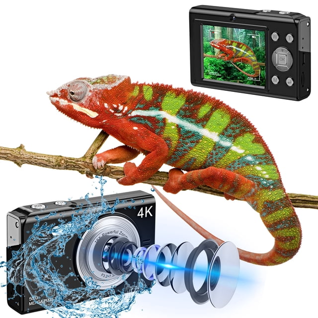 Birdeem Appareil Photo Numérique Ccd Entrée - Campus Hd Voyage Petit Portable Machine à Cartes Vlog