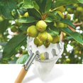 thumbnail image 4 of Metal Fruit Picker Orchard Gardening Peach High Tree Picking Tools Fruit Catcher Collection Pouch Farm Garden Tools, 4 of 5