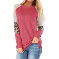 thumbnail image 1 of Nlife Women Colorblock Stripes Leopard Print Crew Neck Long Sleeves Top, 1 of 10