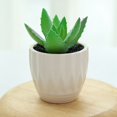 thumbnail image 2 of Coofit Mini Potted Succulent Lifelike - Artificial Plant Faux Succulent in Pot for Home, 2 of 4