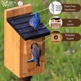 thumbnail image 3 of Nature’s Way Cedar Bluebird House for Outdoor Nesting, Predator Guarded Entrance with Clean-Out Door & Ventilation Openings, Brown, 3 of 7