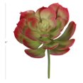 thumbnail image 2 of Tige de Plante Artificielle Succulente d'échévérie, 2 of 6