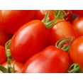 thumbnail image 1 of 500 ITALIAN ROMA TOMATO Lycopersicon Lycopersicum Fruit Vegetable Seeds, 1 of 5