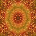 thumbnail image 1 of Ahgly Company Tapis d'Aire Intérieur Lavable à la Machine, Carré, Transitionnel, Rouge, 6 Pieds Carré, 1 of 7
