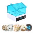 thumbnail image 1 of Dvkptbk Plastic Incubator Incubate for Hatching Eggs 4 Eggs Incubate with Automatic Temoperature&Humidity Control Incubate for Chickens Ducks Quail Birds Home Essentials, 1 of 7