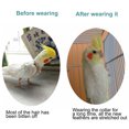 thumbnail image 4 of CBFFDC Bird Restraint Device Adjustable Parrot Recovery Collar Anti Biting Injury Protection Fastener Fixing Bird Collar Pet Bird Accessory, 4 of 7