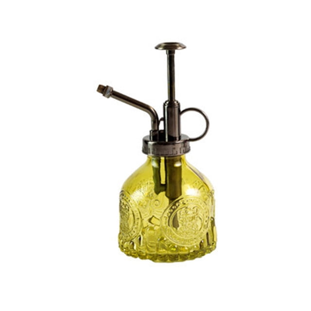 Embossed Glass Watering Can with Fine Mist Sprayer for Gentle Hydration and Decorative Garden Vase