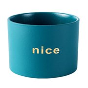 Coofit Ceramic Plant Pot Decorative: Simple Flower Pot Succulent Planter Pot with Hole