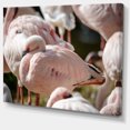 thumbnail image 2 of Pat of Flamingos Gros Plan - Impression d'Art Abstrait sur Toile, 2 of 3