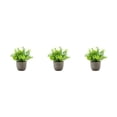 thumbnail image 2 of Decodeary Green Eco-friendly Artificial Money Tree In Pot Long-lasting Durability Realistic Appearance blue babysbreath 3Set, 2 of 6