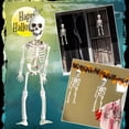 thumbnail image 2 of Riforla Halloween Skeleton Decorations Full Body Skeleton with Movable Joints for Decor Hangs Home Decor white, 2 of 9
