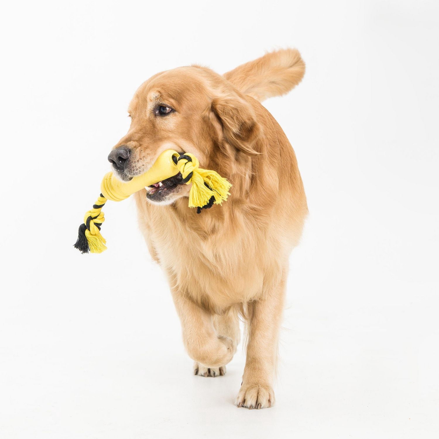 Jouets pour chiens en corde de caoutchouc Vibrant Life de grande taille