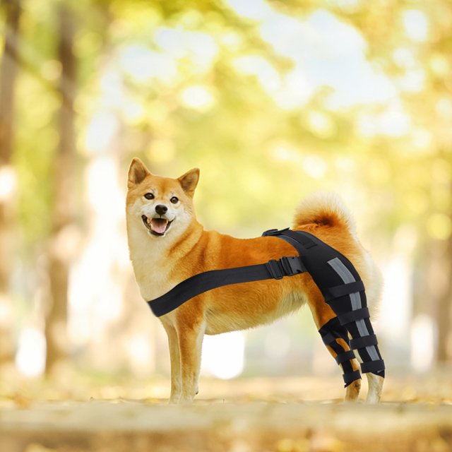 EastVita Pet Dog Knee Brace Adjustable Size Reflective Design Elastic Shoulder Strap Hind Legs Protective Cover