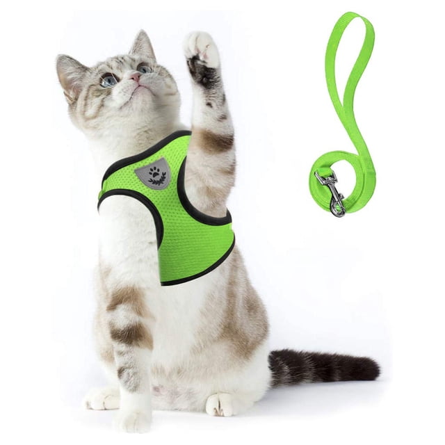 TIMIFIS Cat Harness Cat Harnesse And Leash Adjustable Soft Mesh Vest with Reflective Strap Metal. The image shows a white and brown cat wearing a bright green soft mesh vest-style harness with black trim and a reflective paw emblem on the chest. The harness is paired with a matching green leash featuring a sturdy metal clip. Designed for comfort and safety, the harness evenly distributes leash pressure to prevent pulling and choking. Suitable for walking, jogging, or hiking with your cat.