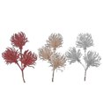 thumbnail image 1 of Pic À Fleurs Oursin - Lot De 12, 1 of 3