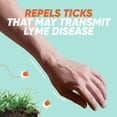 thumbnail image 4 of OFF!® Deep Woods® Tick Insect Repellent, 170g, 4 of 8