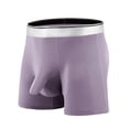 thumbnail image 1 of Birdeem Ice Silk Thin Style Traceless Boxers Business Breathable Mens Summer Comfortable Boxers, 1 of 2