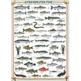 thumbnail image 1 of Poissons d'eau douce - 6000-0312, 1 of 2
