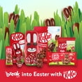 thumbnail image 2 of AERO Milk Chocolate Easter Lamb, 2 of 9